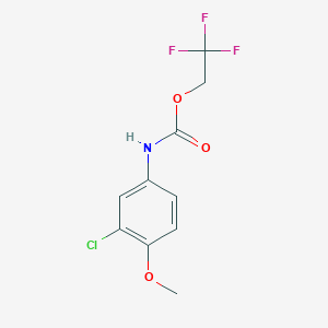 molecular formula C10H9ClF3NO3 B1439120 2,2,2-trifluoroethyl N-(3-chloro-4-methoxyphenyl)carbamate CAS No. 311316-81-1