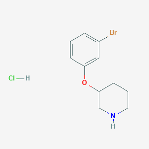 molecular formula C11H15BrClNO B1439167 3-(3-Bromophenoxy)piperidine hydrochloride CAS No. 1185297-49-7