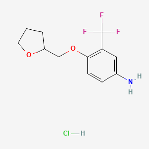 molecular formula C12H15ClF3NO2 B1439168 4-(Tetrahydro-2-furanylmethoxy)-3-(trifluoromethyl)aniline hydrochloride CAS No. 1185297-57-7