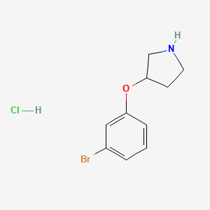 molecular formula C10H13BrClNO B1439170 3-(3-Bromophenoxy)pyrrolidine hydrochloride CAS No. 1185298-69-4