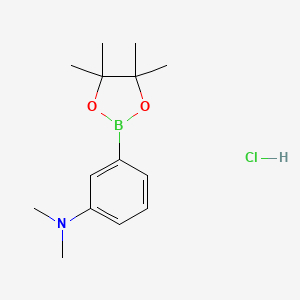 molecular formula C14H23BClNO2 B1439188 N,N-Dimethyl-3-(4,4,5,5-tetramethyl-1,3,2-dioxaborolan-2-yl)aniline hydrochloride CAS No. 1231967-65-9
