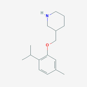 molecular formula C16H25NO B1439215 3-[(2-Isopropyl-5-methylphenoxy)methyl]piperidine CAS No. 946680-16-6
