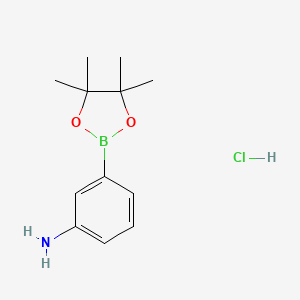 molecular formula C12H19BClNO2 B1439222 3-(4,4,5,5-四甲基-1,3,2-二氧杂硼环-2-基)苯胺盐酸盐 CAS No. 850567-51-0