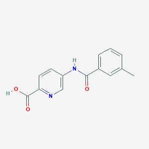 molecular formula C14H12N2O3 B1439225 5-[(3-Methylbenzoyl)amino]pyridine-2-carboxylic acid CAS No. 1172009-92-5