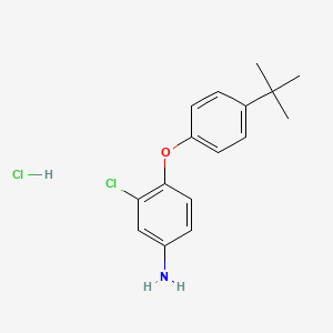 molecular formula C16H19Cl2NO B1439252 4-[4-(Tert-butyl)phenoxy]-3-chlorophenylamine hydrochloride CAS No. 1185296-96-1