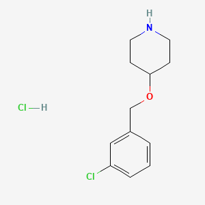molecular formula C12H17Cl2NO B1439267 4-[(3-Chlorobenzyl)oxy]piperidine hydrochloride CAS No. 1185020-93-2