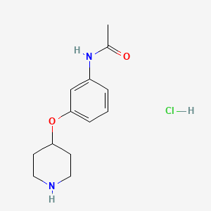 N-[3-(4-Piperidinyloxy)phenyl]acetamide hydrochloride