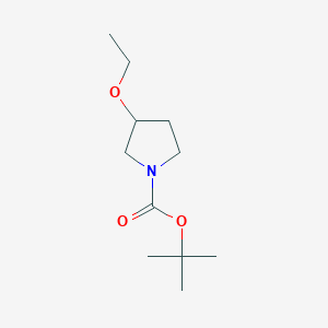 molecular formula C11H21NO3 B1439275 Tert-butyl 3-ethoxypyrrolidine-1-carboxylate CAS No. 207746-96-1
