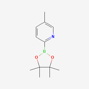 molecular formula C12H18BNO2 B1439301 5-Methyl-2-(4,4,5,5-tetramethyl-1,3,2-dioxaborolan-2-yl)pyridine CAS No. 1101205-22-4