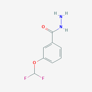molecular formula C8H8F2N2O2 B1439308 3-(Difluoromethoxy)benzohydrazide CAS No. 321196-03-6