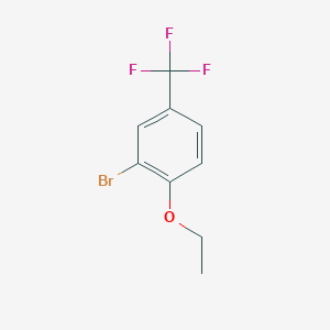 molecular formula C9H8BrF3O B1439393 2-Bromo-1-ethoxy-4-trifluoromethyl-benzene CAS No. 934495-35-9