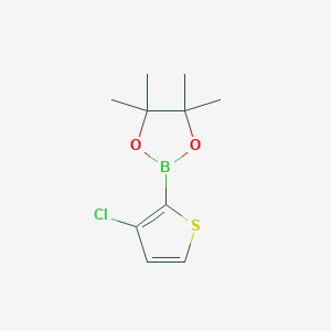 molecular formula C10H14BClO2S B1439441 2-(3-氯噻吩-2-基)-4,4,5,5-四甲基-1,3,2-二氧杂硼环丁烷 CAS No. 1040281-97-7