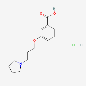 3-(3-Pyrrolidin-1-YL-propoxy)-benzoic acid hydrochloride