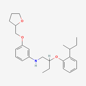 N-{2-[2-(Sec-butyl)phenoxy]butyl}-3-(tetrahydro-2-furanylmethoxy)aniline