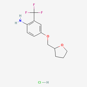 molecular formula C12H15ClF3NO2 B1439676 4-(Tetrahydro-2-furanylmethoxy)-2-(trifluoromethyl)aniline hydrochloride CAS No. 1185300-61-1