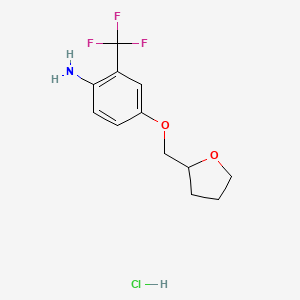 4-(Tetrahydro-2-furanylmethoxy)-2-(trifluoromethyl)aniline hydrochloride