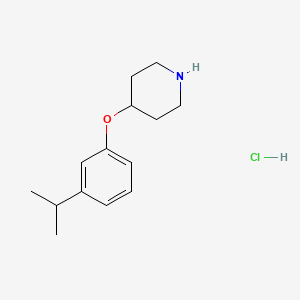 4-(3-Isopropylphenoxy)piperidine hydrochloride