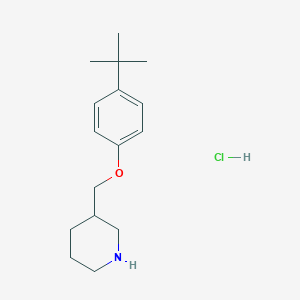 4-(tert-Butyl)phenyl 3-piperidinylmethyl ether hydrochloride