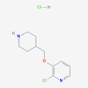 molecular formula C11H16Cl2N2O B1439701 2-Chloro-3-(4-piperidinylmethoxy)pyridine hydrochloride CAS No. 1185298-34-3