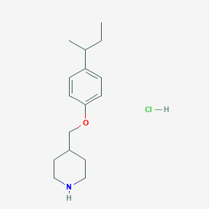4-{[4-(sec-Butyl)phenoxy]methyl}piperidine hydrochloride