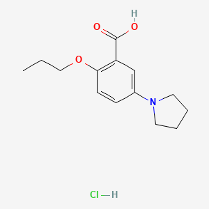 molecular formula C14H20ClNO3 B1439727 2-Propoxy-5-pyrrolidin-1-yl-benzoic acid hydrochloride CAS No. 1185038-20-3