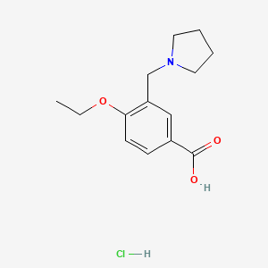 molecular formula C14H20ClNO3 B1439731 4-Ethoxy-3-pyrrolidin-1-ylmethyl-benzoic acid hydrochloride CAS No. 1185293-19-9
