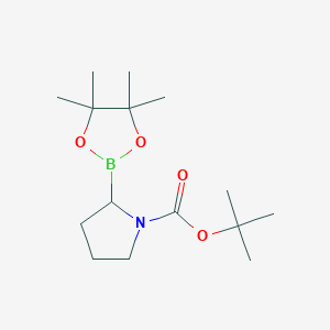tert-butyl (2S)-2-(4,4,5,5-tetramethyl-1,3,2-dioxaborolan-2-yl)pyrrolidine-1-carboxylate