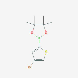 2-(4-Bromothiophen-2-yl)-4,4,5,5-tetramethyl-1,3,2-dioxaborolane