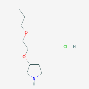 molecular formula C9H20ClNO2 B1439875 3-(2-Propoxyethoxy)pyrrolidine hydrochloride CAS No. 1219981-28-8
