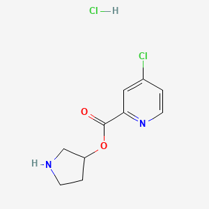molecular formula C10H12Cl2N2O2 B1439882 3-Pyrrolidinyl 4-chloro-2-pyridinecarboxylate hydrochloride CAS No. 1219948-51-2