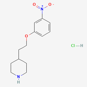 molecular formula C13H19ClN2O3 B1439883 4-[2-(3-Nitrophenoxy)ethyl]piperidine hydrochloride CAS No. 1220029-77-5