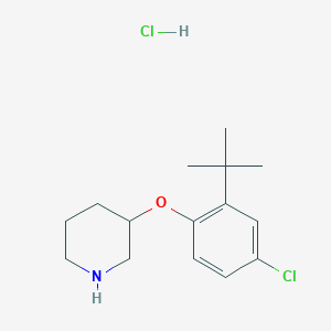 molecular formula C15H23Cl2NO B1439886 3-[2-(tert-Butyl)-4-chlorophenoxy]piperidine hydrochloride CAS No. 1220035-96-0