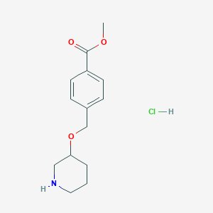 molecular formula C14H20ClNO3 B1439887 Methyl 4-[(3-piperidinyloxy)methyl]benzoate hydrochloride CAS No. 1220019-84-0