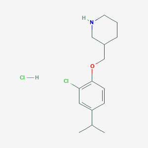 molecular formula C15H23Cl2NO B1439904 3-[(2-Chloro-4-isopropylphenoxy)methyl]piperidine hydrochloride CAS No. 1220035-60-8
