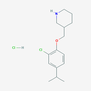 3-[(2-Chloro-4-isopropylphenoxy)methyl]piperidine hydrochloride