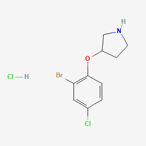 molecular formula C10H12BrCl2NO B1439906 3-(2-Bromo-4-chlorophenoxy)pyrrolidine hydrochloride CAS No. 1220033-83-9