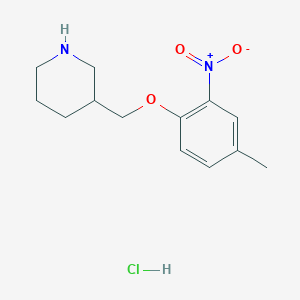 molecular formula C13H19ClN2O3 B1439913 3-[(4-Methyl-2-nitrophenoxy)methyl]piperidine hydrochloride CAS No. 1220037-62-6