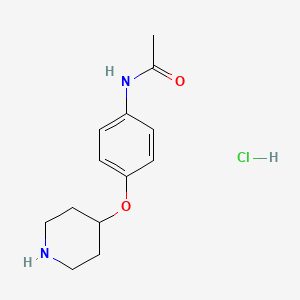 molecular formula C13H19ClN2O2 B1439914 N-[4-(4-Piperidinyloxy)phenyl]acetamide hydrochloride CAS No. 1219961-26-8
