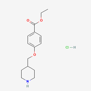 molecular formula C15H22ClNO3 B1439917 Ethyl 4-(4-piperidinylmethoxy)benzoate hydrochloride CAS No. 1219979-53-9