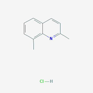 molecular formula C11H12ClN B1440054 2,8-Dimethylquinoline hydrochloride CAS No. 53826-01-0