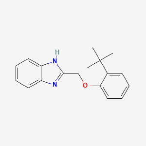 2-[(2-tert-Butylphenoxy)methyl]-1H-benzimidazole