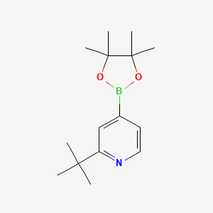 molecular formula C15H24BNO2 B1440148 2-(tert-Butyl)-4-(4,4,5,5-tetramethyl-1,3,2-dioxaborolan-2-yl)pyridine CAS No. 1627722-65-9