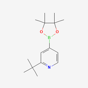 2-(tert-Butyl)-4-(4,4,5,5-tetramethyl-1,3,2-dioxaborolan-2-yl)pyridine