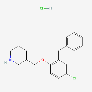 2-Benzyl-4-chlorophenyl 3-piperidinylmethyl ether hydrochloride