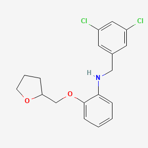 N-(3,5-Dichlorobenzyl)-2-(tetrahydro-2-furanylmethoxy)aniline