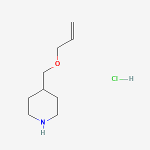 molecular formula C9H18ClNO B1440455 4-[(Allyloxy)methyl]piperidine hydrochloride CAS No. 1185300-86-0