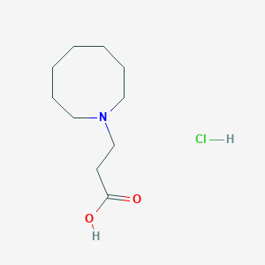3-Azocan-1-ylpropanoic acid hydrochloride