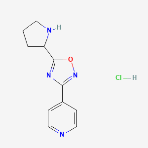 molecular formula C11H13ClN4O B1440489 4-(5-Pyrrolidin-2-YL-1,2,4-oxadiazol-3-YL)-pyridine hydrochloride CAS No. 1184979-18-7