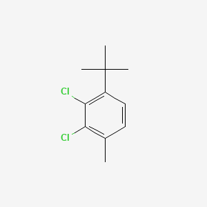 molecular formula C11H14Cl2 B14406078 1-Tert-butyl-2,3-dichloro-4-methylbenzene CAS No. 86368-44-7