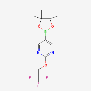 molecular formula C12H16BF3N2O3 B1440645 5-(4,4,5,5-Tetramethyl-1,3,2-dioxaborolan-2-yl)-2-(2,2,2-trifluoroethoxy)pyrimidine CAS No. 1351234-12-2